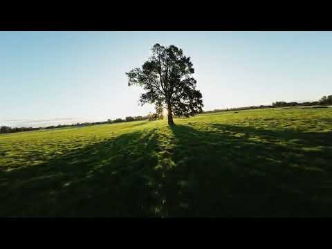 FPV SUNSET EN MÁFIL REGIÓN DE LOS RIOS CHILE