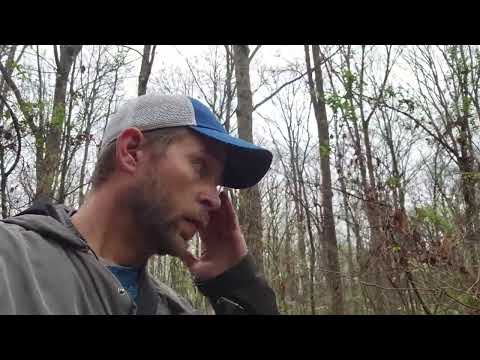 Morel mushroom hunting tips 4.11.24