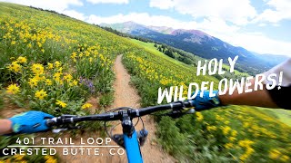 Holy Wildflowers! 401 Trail Loop | Crested Butte, CO