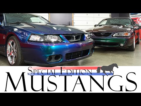 Mystic & Mystichrome 🔮🐟 | Special Edition Mustang
