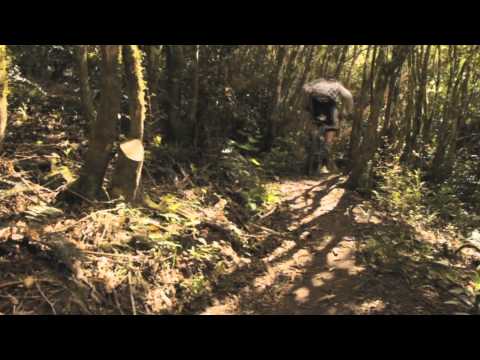 The South   Justin Leov