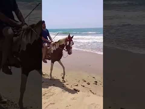 Sandspit beach Karachi #youtubeshorts #viral #explore #subscribe my channel ❤️