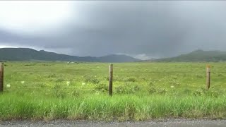 Human remains found in remote area north of Butte
