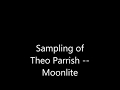 The sampling of Theo Parrish -- Moonlite