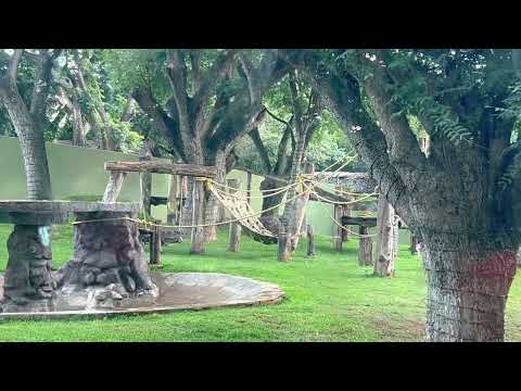 A Day at Mysuru Zoo | Sri Chamarajendra Zoological Gardens