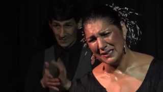 FLAMENCO EN LA GARCIA LORCA 35 - REMEDIOS AMAYA