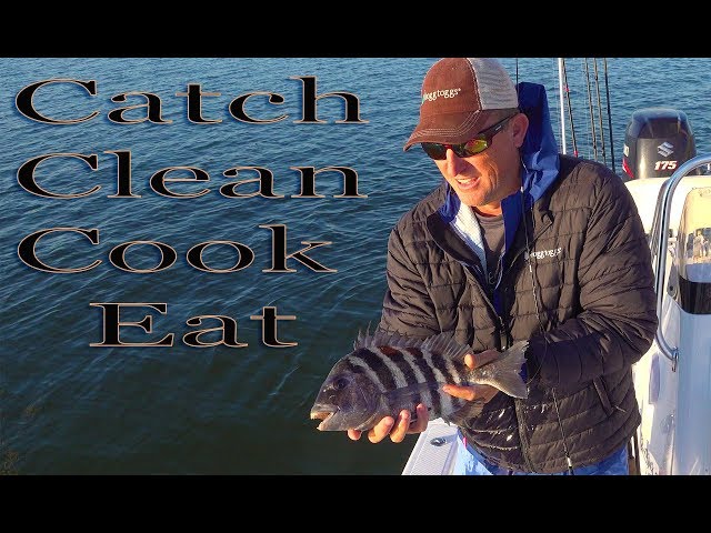 SHEEPSHEAD {catch clean cook} How to make Home made fish Piccata