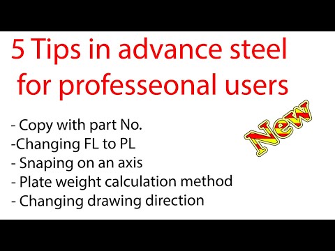 Advance steel 5 tips for professional users