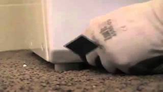 How to Replace a Belt on a Frigidaire Top Load Washer