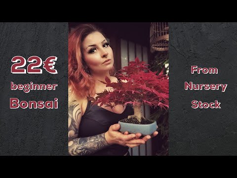 Bonsai Demo Malika Maeter
