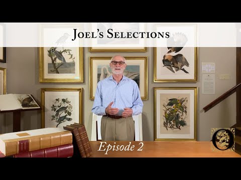 YouTube video about: How to tell value of audubon print?