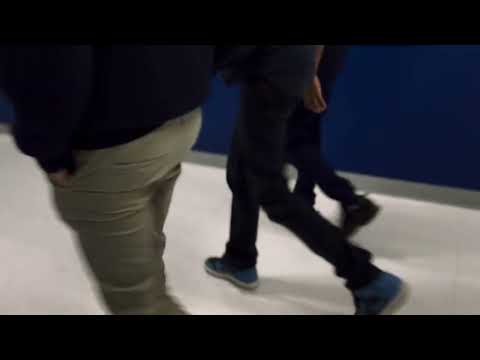 The Lady and the Duke