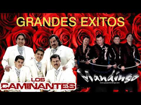 LOS CAMINANTES VS GRUPO MANDINGO 30 GRANDES EXITOS ROMANTICOS