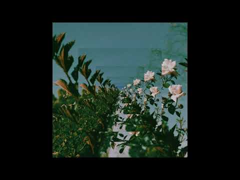 nothintoprove - PALVCE | Drake x Partynextdoor x Noah 40 x Majid Jordan type Beat