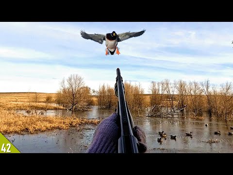 MALLARD Limit Over an ICE HOLE! | Duck Hunting