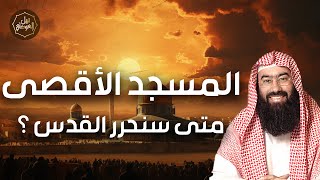 صورة نبيل العوضي | حقيقة ما يحدث في فلسطين وهل اقترب نصر الله | متي نحرر الاقصي؟