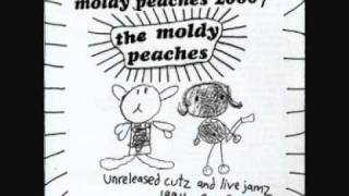 Moldy Peaches - 7 - What Went Wrong (live &#39; 99)