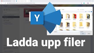 Hur du laddar upp filer till Yammer - Office 365