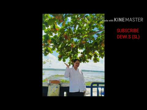 Kj 350 - O Berkati Kami Cover DewiSSL