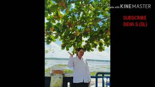 Download lagu Kj 350 - O Berkati Kami Cover DewiSSL mp3