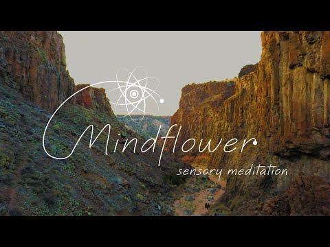 Mindflower: Sensory Meditation app for iPhone & iPad Promo Video