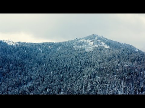 Robi Tsubasa - Zu spät (prod. by YenoBeatz & Lerog)