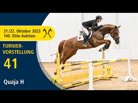 140th Elite-Auction - Oct. 21/22 - No. 41 Quaja H by Quaid I - Stakkato - Clip 3