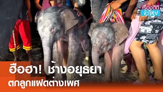ประวัติศาสตร์ช้างไทย  ประวัติศาสตร์ช้างไทย