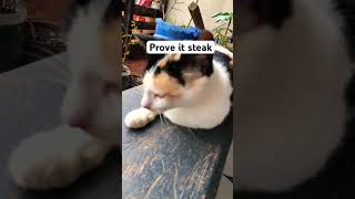 Prove it