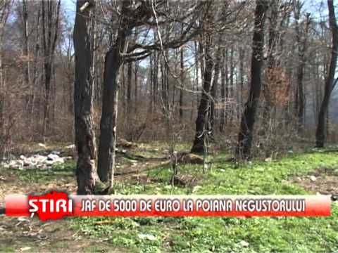 Jaf de 5000 de euro la Poiana Negustorului - www.1tvbacau.ro ( 17.04.2013 )