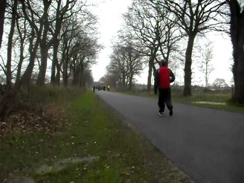 Wieseder Landesligaaufstieg (AF) 2010.