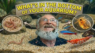 What Secret is Lurking in the Bottom of Your Tank?