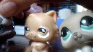 TTS Kwick Karate Klip