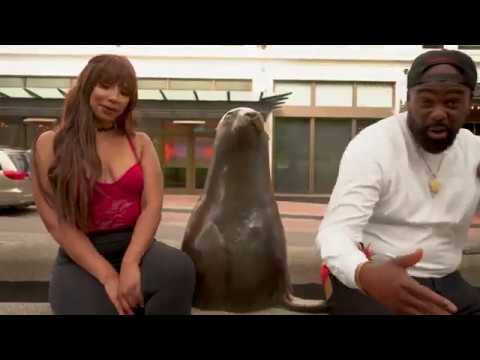 The Town x Dub Dynamite ( Official Music Video)