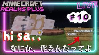 【マイクラ】 hi sa、、なにか、作るんだってよ　#10