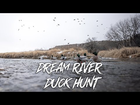 Beau Hunting - Freezing Cold River Duck Hunt!! "Thousands Of Mallards"