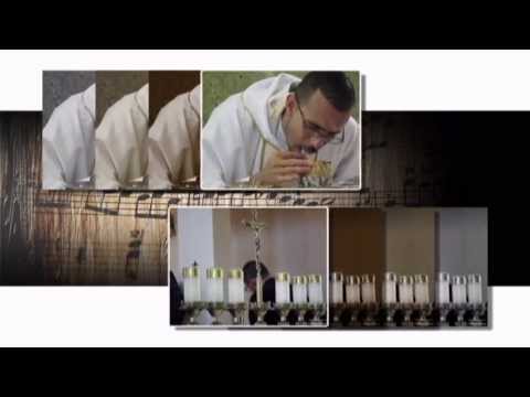 Padre Serginho Teus Planos