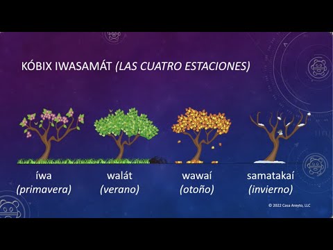Let's Talk Taíno en español 58 - Las cuatro estaciones (Parte 1) 🌷☀️🍂☃️