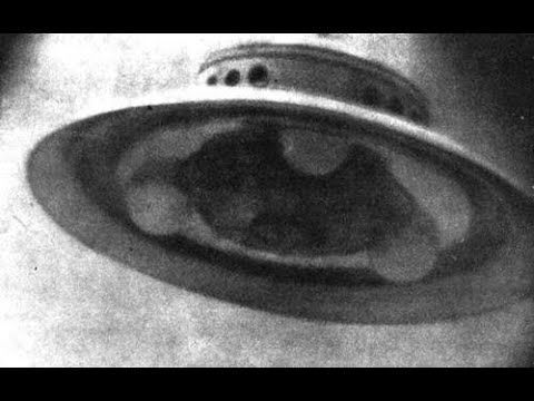 True Hallucinations.  Terence McKenna.  Complete audio book.  883b