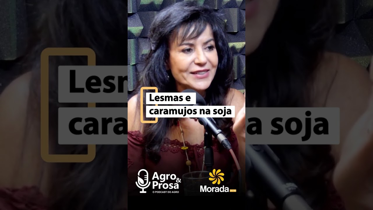 🐌 Lesmas e caramujos: por que essas pragas aparecem nas lavouras após as chuvas?