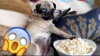 LA VIDA SECRETA DE CONCHITA :O - Beto Pasillas