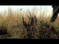 Drents Diep van 24-04-2012