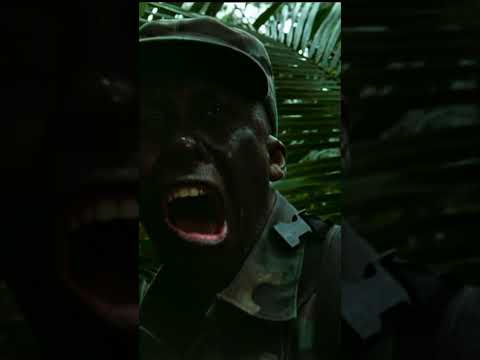 Predator 1987 - Contact Scene - Shooting Jungle Movie