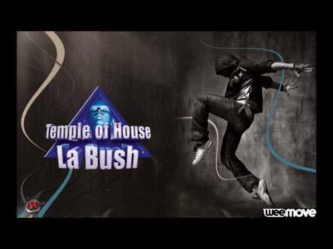 la bush temple of house : Analyzerz Devotion (Mix)