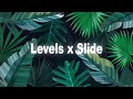 Levels x Slide (Avicii x Calvin Harris) Mashup