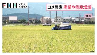 コメ農家の廃業・倒産が過去最多ペース　今年1〜8月で32件　高齢化や米値下がりで「経営が成り立たない」の声も（2026年09月09日）