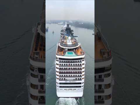 Thumbnail for MSC PREZIOSA   Santos ship navio cruzeiro o maior  @cruzeiros2025  #drone #google  #shorts