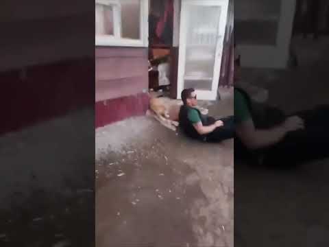 UTOPIST | Киборг убийца