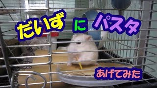 だいず(1階)にパスタあげてみた