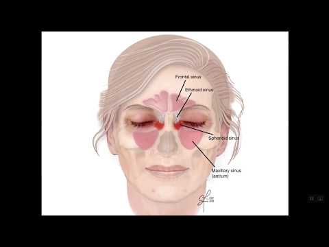 LMP Grand Rounds EStelow 13Nov2019